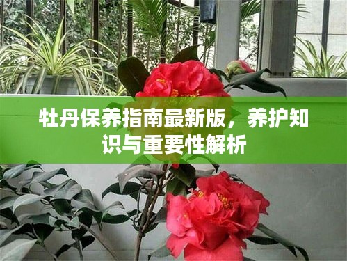 沉灶生蛙 第2页