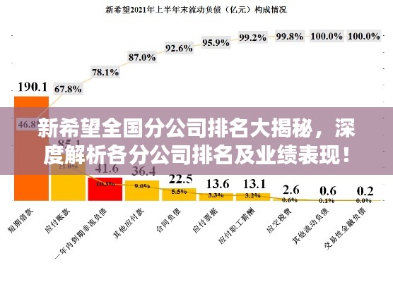 新希望全国分公司排名大揭秘，深度解析各分公司排名及业绩表现！