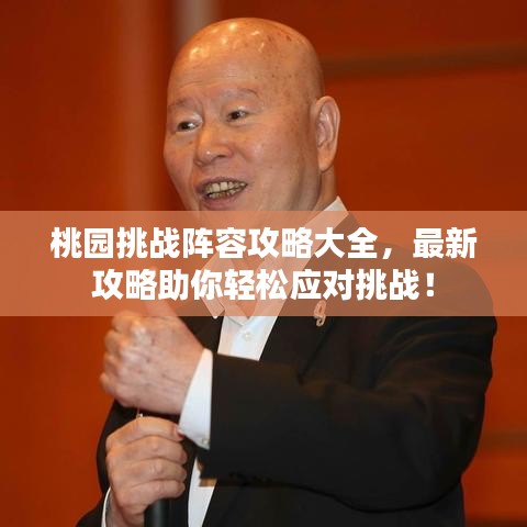桃园挑战阵容攻略大全，最新攻略助你轻松应对挑战！
