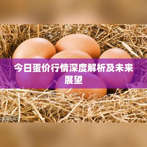 今日蛋价行情深度解析及未来展望