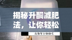 口若悬河 第2页