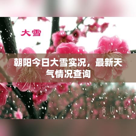 朝阳今日大雪实况，最新天气情况查询