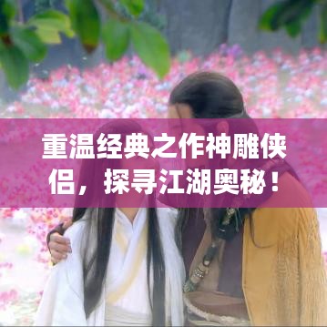 重温经典之作神雕侠侣，探寻江湖奥秘！