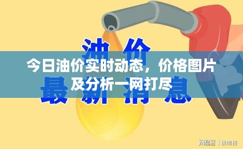 今日油价实时动态，价格图片及分析一网打尽