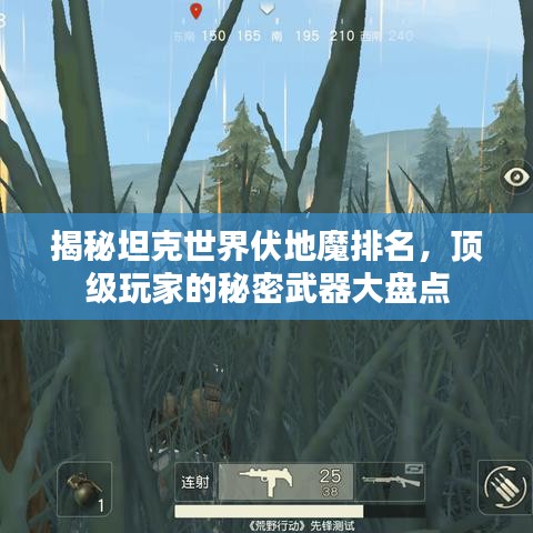 揭秘坦克世界伏地魔排名，顶级玩家的秘密武器大盘点
