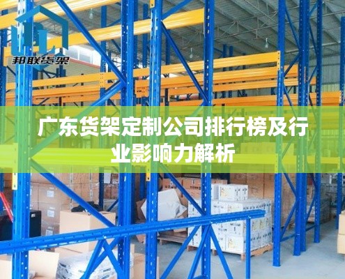 广东货架定制公司排行榜及行业影响力解析