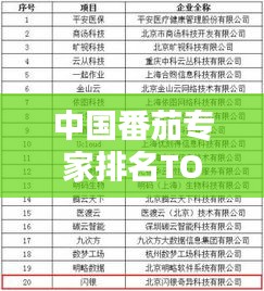 中国番茄专家排名TOP10，行业领袖一览