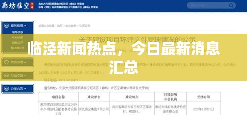 临泾新闻热点，今日最新消息汇总