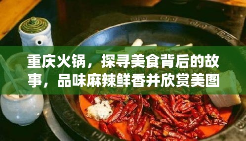 重庆火锅，探寻美食背后的故事，品味麻辣鲜香并欣赏美图