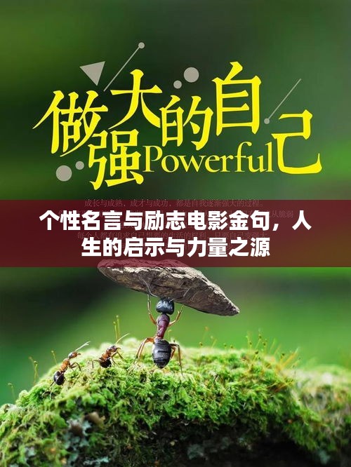 个性名言与励志电影金句，人生的启示与力量之源