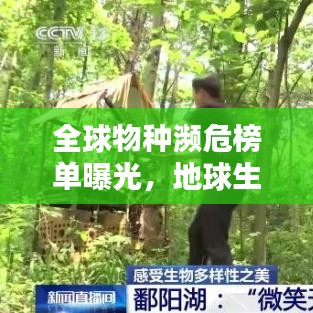 全球物种濒危榜单曝光，地球生物多样性面临严峻挑战