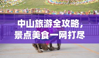 中山旅游全攻略，景点美食一网打尽！