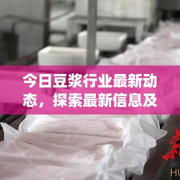 今日豆浆行业最新动态，探索最新信息及发展趋势