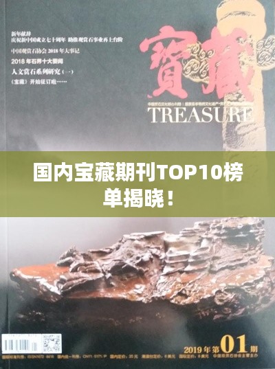 国内宝藏期刊TOP10榜单揭晓！