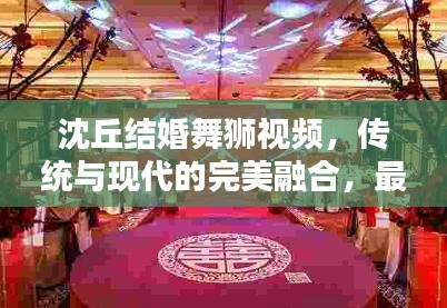 沈丘结婚舞狮视频，传统与现代的完美融合，最新精彩瞬间全收录！