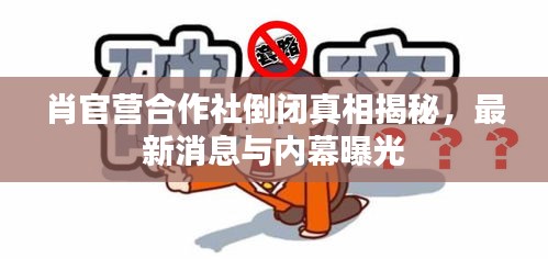 肖官营合作社倒闭真相揭秘，最新消息与内幕曝光