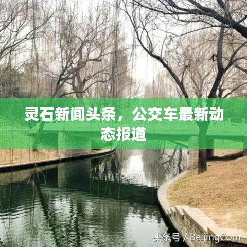 灵石新闻头条，公交车最新动态报道