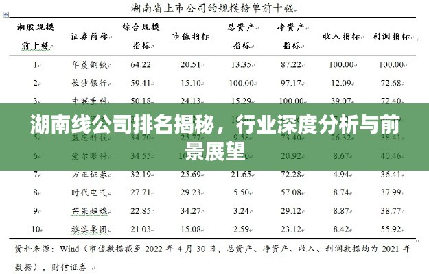 湖南线公司排名揭秘，行业深度分析与前景展望