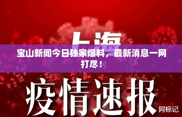 宝山新闻今日独家爆料，最新消息一网打尽！