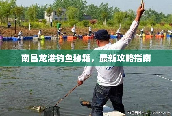 南昌龙港钓鱼秘籍，最新攻略指南