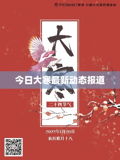 今日大寒最新动态报道