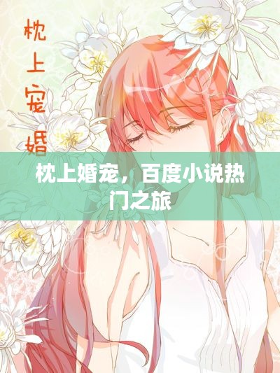 枕上婚宠，百度小说热门之旅