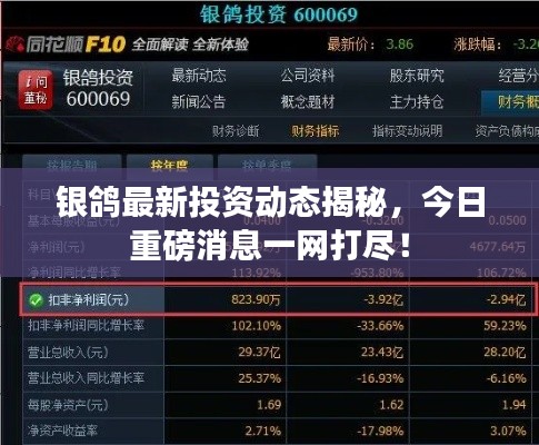 银鸽最新投资动态揭秘，今日重磅消息一网打尽！