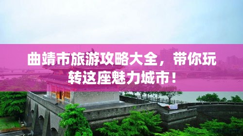 鸟革翬飞 第2页