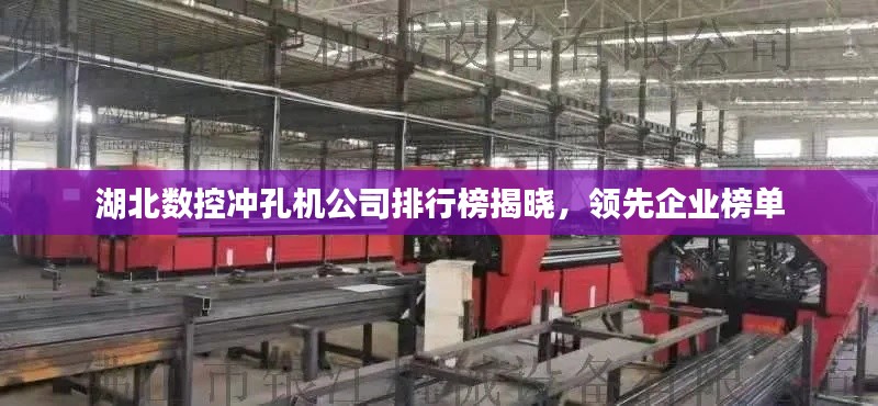 湖北数控冲孔机公司排行榜揭晓，领先企业榜单