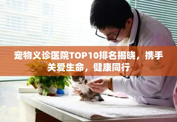宠物义诊医院TOP10排名揭晓，携手关爱生命，健康同行