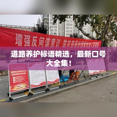 道路养护标语精选，最新口号大全集！