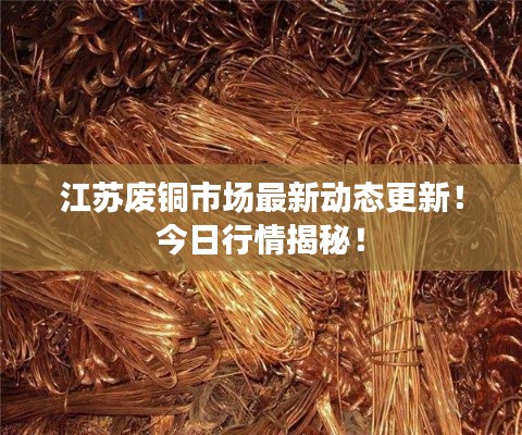江苏废铜市场最新动态更新！今日行情揭秘！