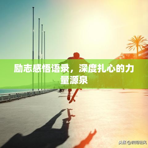 七贵三公 第2页