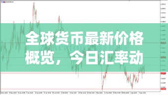 全球货币最新价格概览，今日汇率动态解读