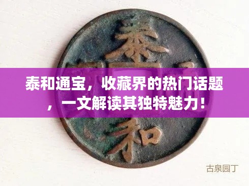 泰和通宝，收藏界的热门话题，一文解读其独特魅力！