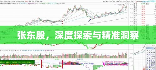 张东股，深度探索与精准洞察