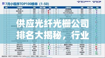 供应光纤光栅公司排名大揭秘，行业权威榜单，不容错过！