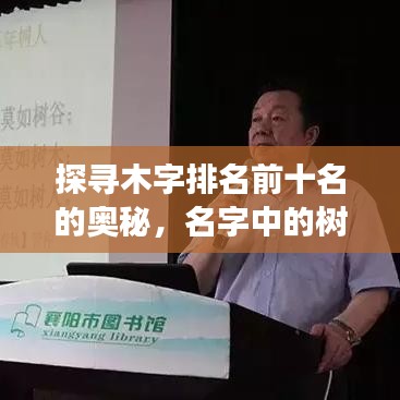 探寻木字排名前十名的奥秘，名字中的树木故事一网打尽