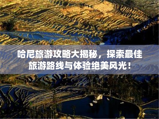 哈尼旅游攻略大揭秘，探索最佳旅游路线与体验绝美风光！