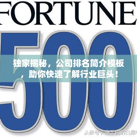 独家揭秘，公司排名简介模板，助你快速了解行业巨头！