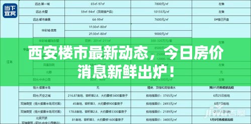 西安楼市最新动态，今日房价消息新鲜出炉！