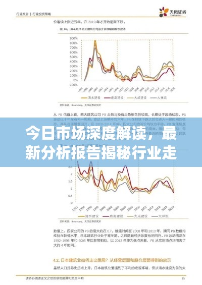今日市场深度解读，最新分析报告揭秘行业走势