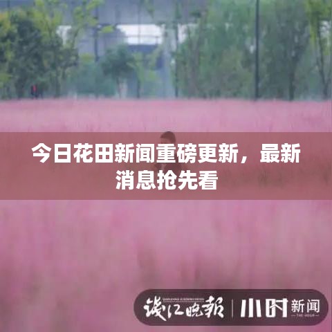 今日花田新闻重磅更新，最新消息抢先看