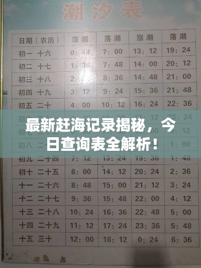 最新赶海记录揭秘，今日查询表全解析！