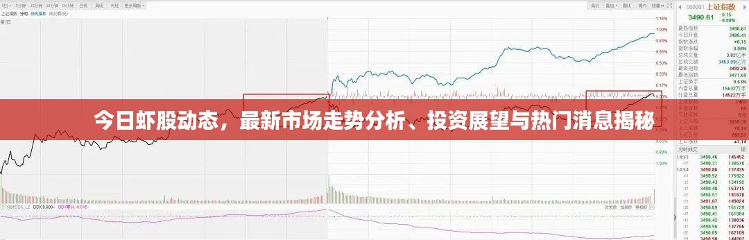 今日虾股动态，最新市场走势分析、投资展望与热门消息揭秘