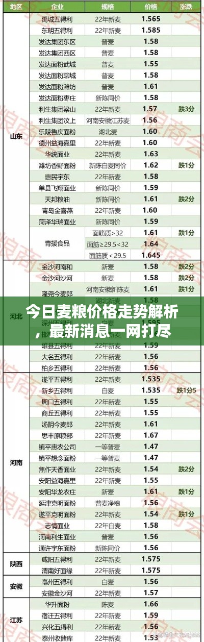 今日麦粮价格走势解析，最新消息一网打尽