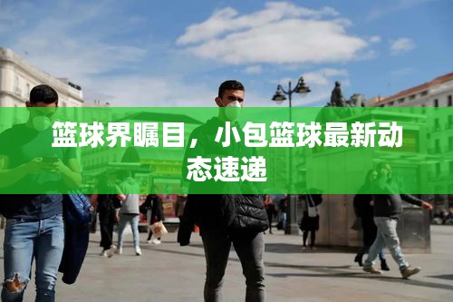篮球界瞩目，小包篮球最新动态速递