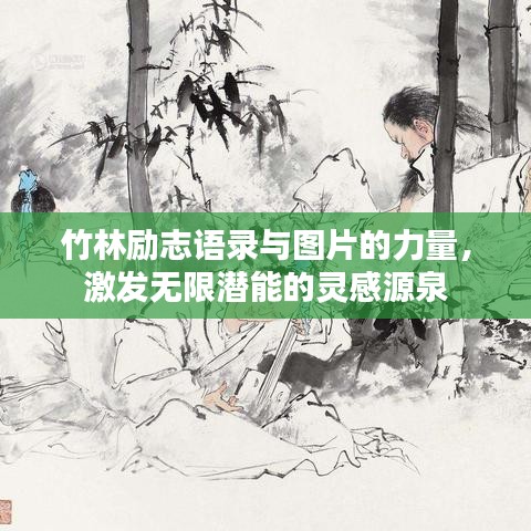 竹林励志语录与图片的力量，激发无限潜能的灵感源泉