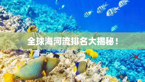 全球海河流排名大揭秘！