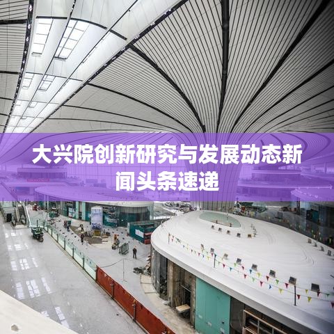 大兴院创新研究与发展动态新闻头条速递